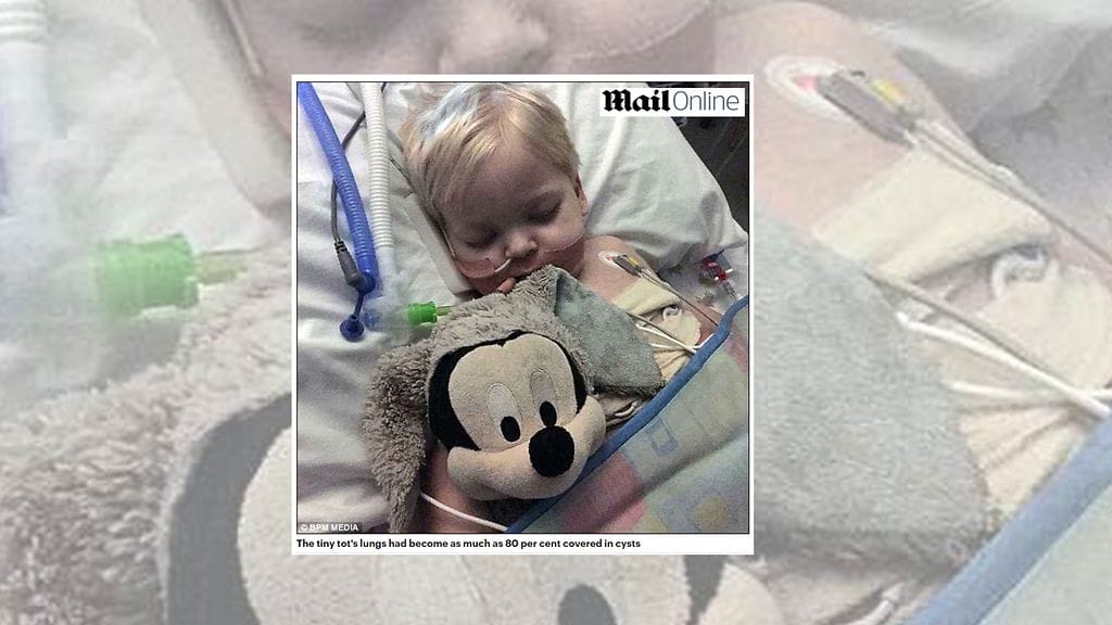 KuvanlähdeDailyMail