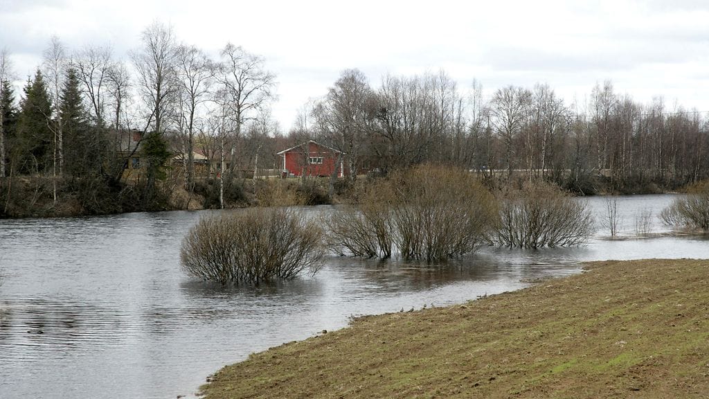 Syken ennusteen mukaan vesi nousee pelloille tulvaherkimmillä alueilla. Etelä-Pohjanmaan, Keski-Pohjanmaan ja Pohjanmaan maakunnissa lunta on keskimääräisesti tai enemmän. Kuvituskuva.