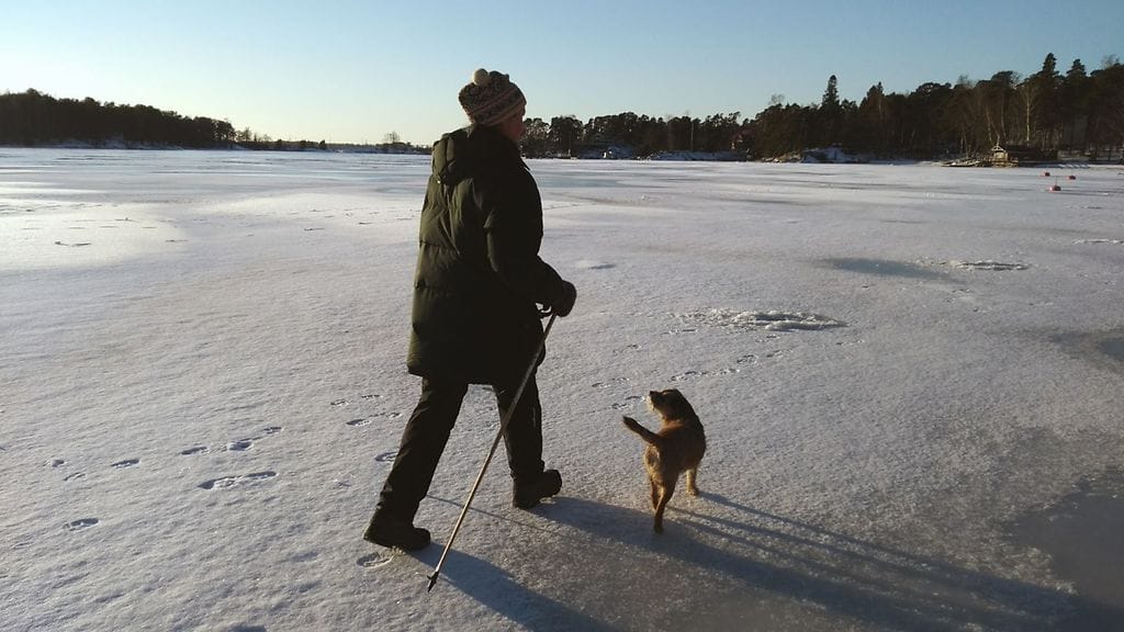 Sauvakävelijä ja koira ulkoilevat meren jäällä.