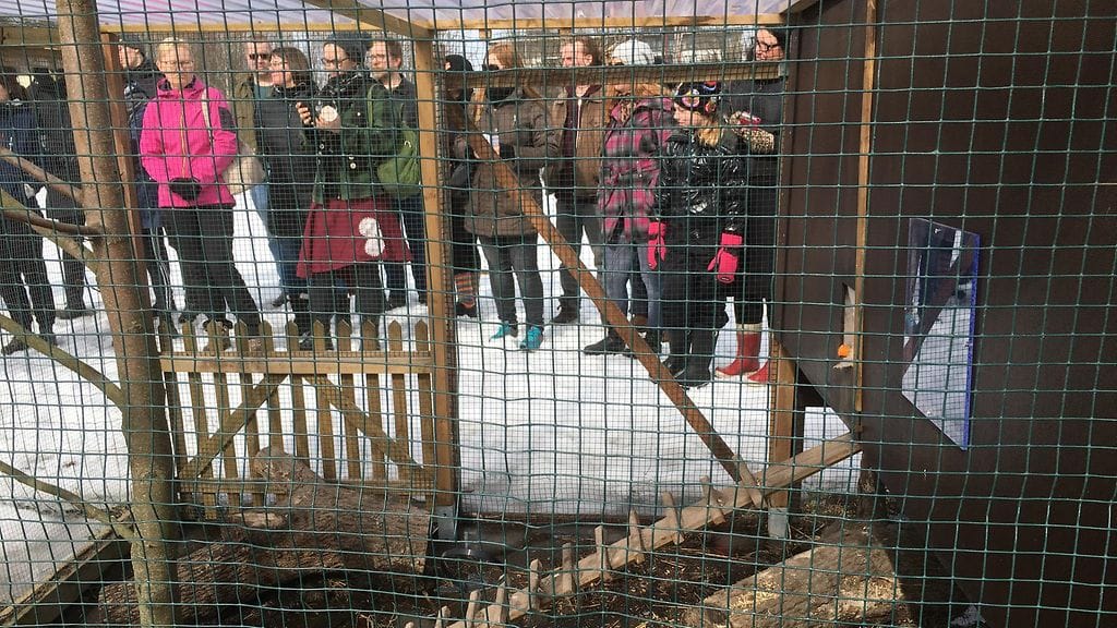 kanat, kanala, Helsinki, Stadin puutarhuri