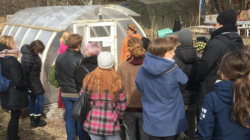 kanat, kanala, Helsinki, Stadin puutarhuri, kurssi