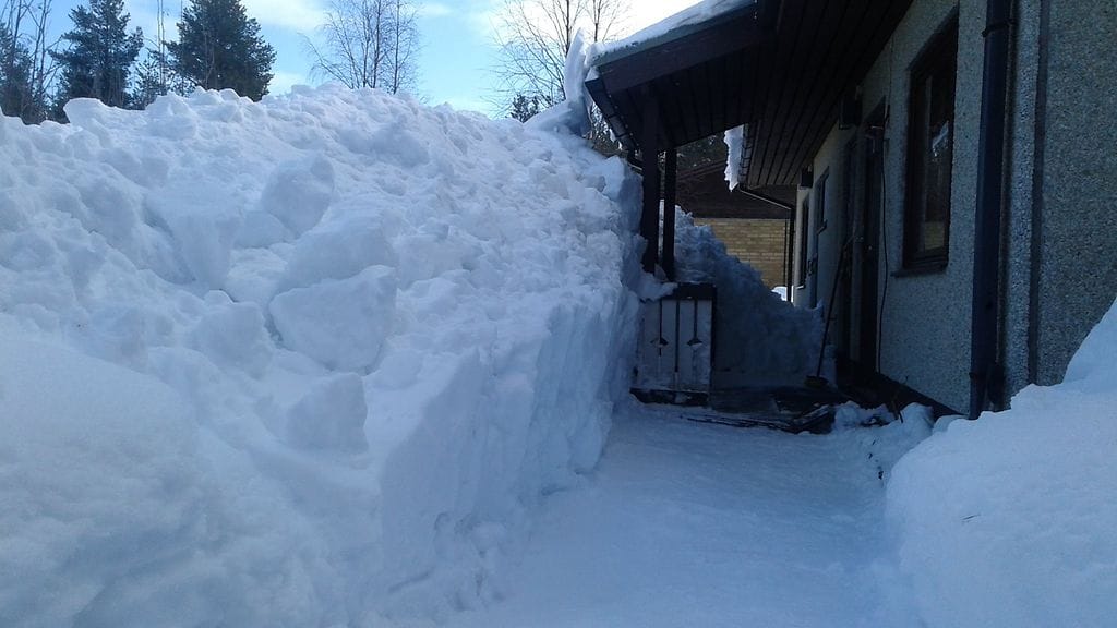 30265313_10155813867289262_2470335081214902272_o