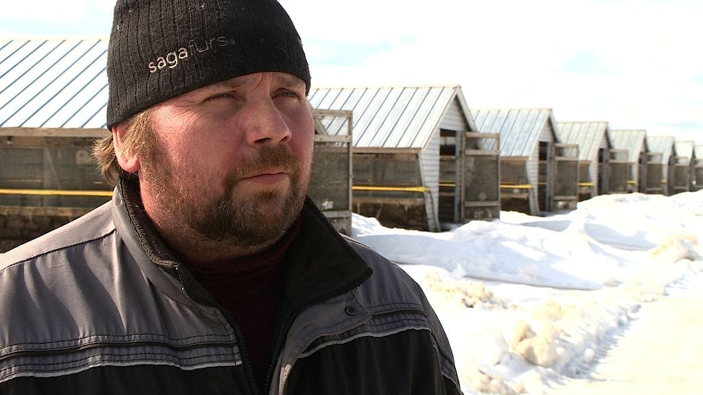 Merilainen Outi Airolan juttuun