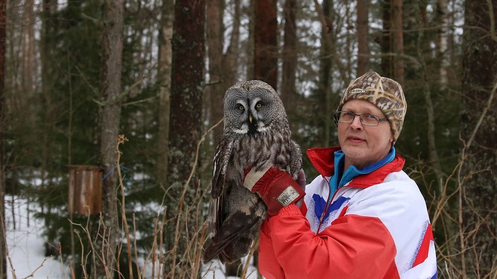 lapinpöllö-jouko-tykkyläinen