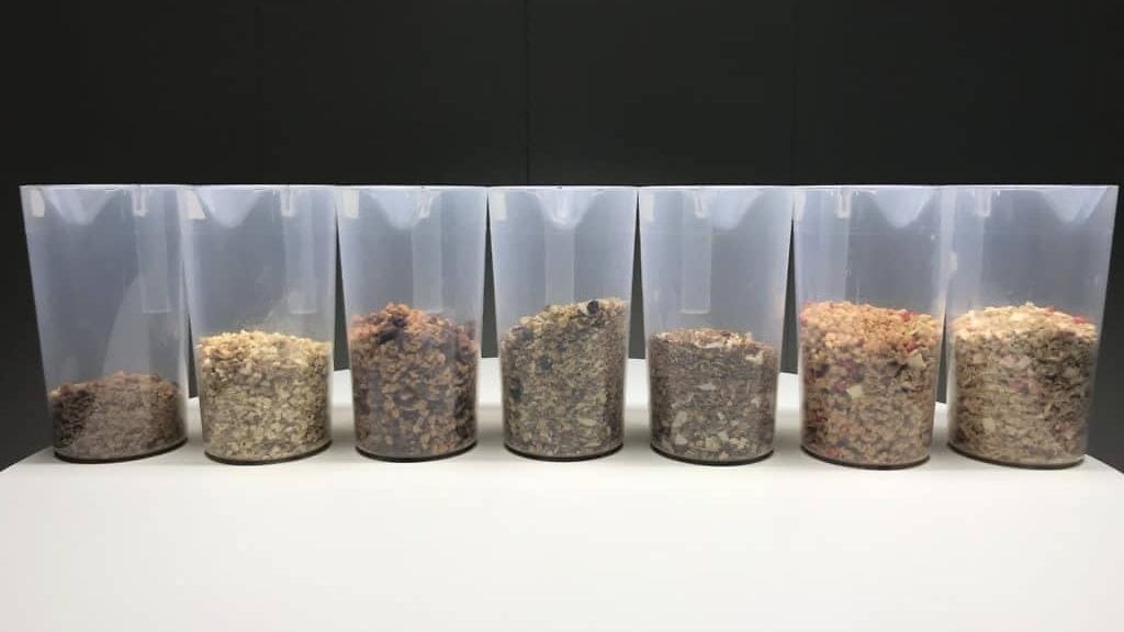 myslivertailu testinglab