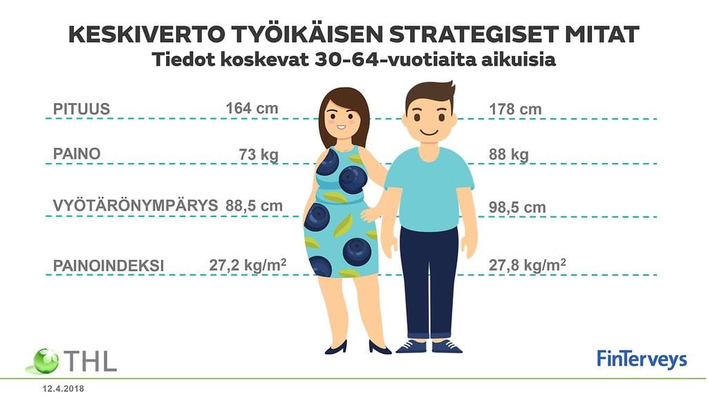 THL:n grafiikka kertoo, millaisia keskiverto työikäiset ovat mitoiltaan.
