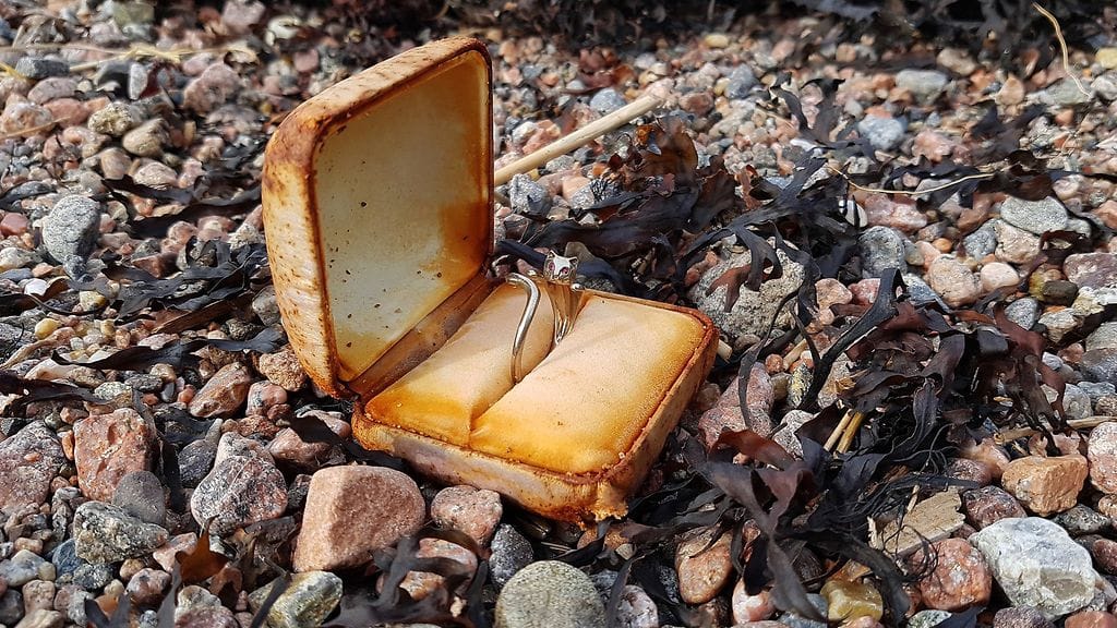 Kissasormus löytyi rantakivikosta.
Kuva: Hugo Udusaar