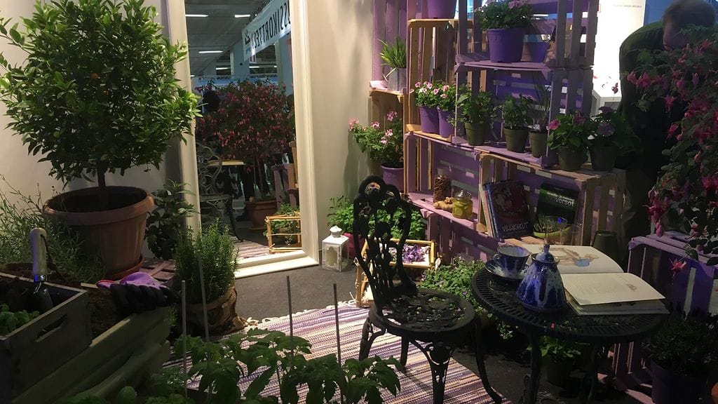 puutarha, kevätmessut, kukat