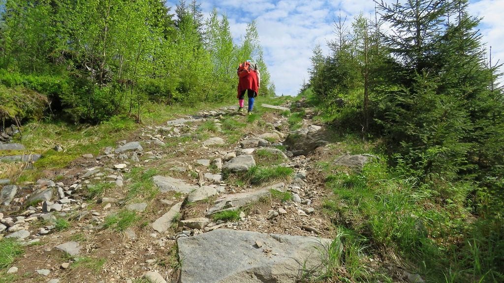 kertajulkaisu marja-sisko aalto 1