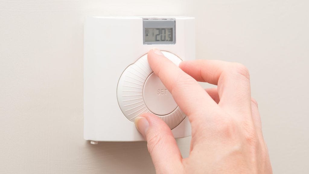 shutterstock_509531683