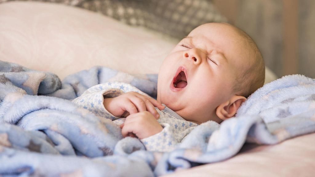 shutterstock_550642420