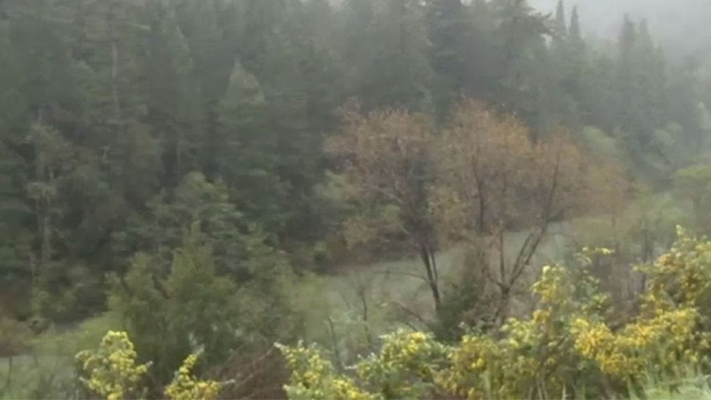 kalifornia-thottapilly