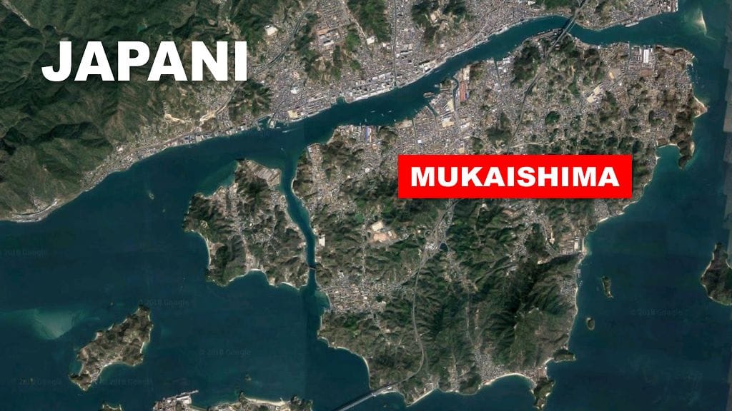 Japanin viranomaiset uskovat, että karkuri piileskelee pienellä Mukaishiman saarella.