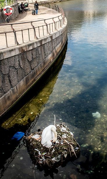 AOP joutsen pesä Kööpenhamina Tanska muoviroska