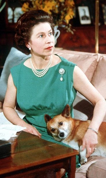 Elisabet 15.06.1969 Corgin kanssa