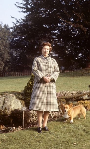 kuningatar elisabet corgi 15.06.1982