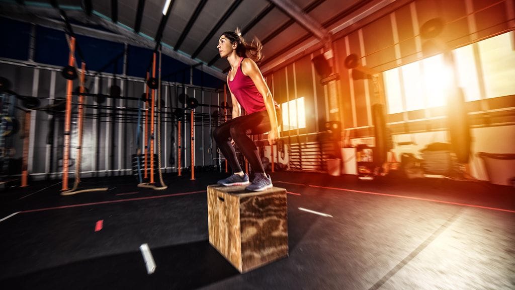 shutterstock_1017090079