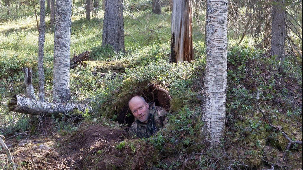 Hannu kurkistaa karhunpesästä
