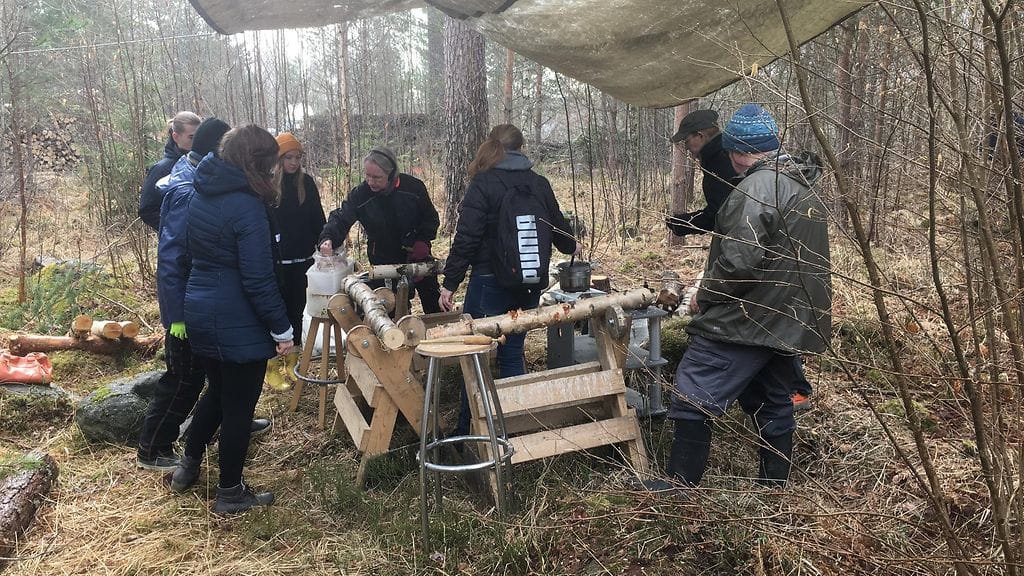 sieniviljely, sienipölkky, opiskelijat