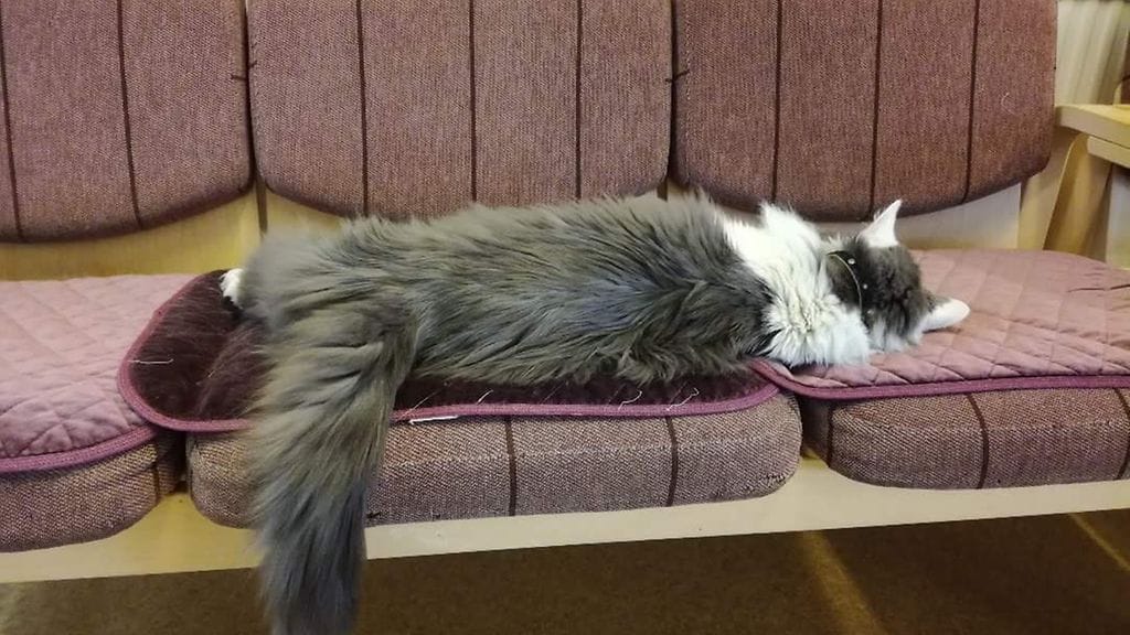 received_10156390104084138