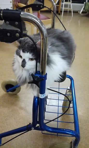 received_10156390108239138