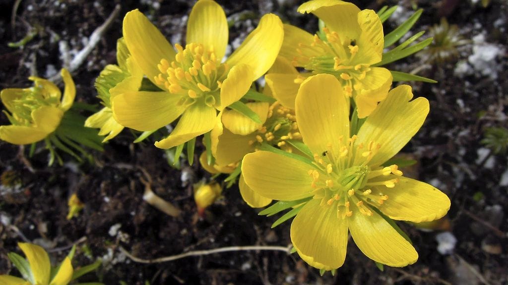 Viikonloppuna sää poutaantuu ja lämpenee. ämmin sää näytää jatkuvan Etelä-Suomessa ensi viikollakin.
