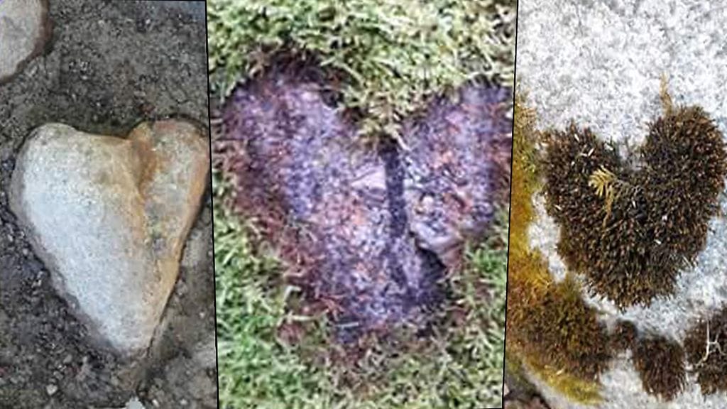 eijaliisasydänmuoks