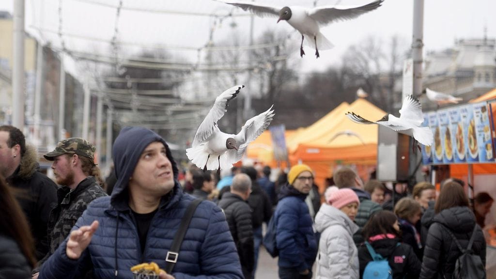 Naurulokit parveilivat viileässä säässä Helsingin Kauppatorilla sunnuntaina 29. huhtikuuta 2018.