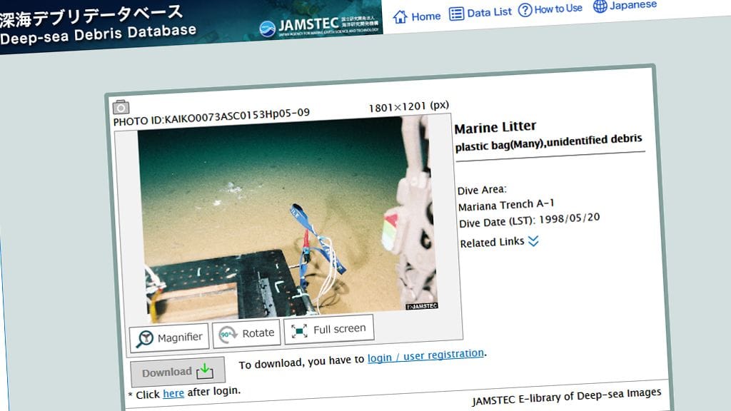 Järjestö on löytänyt tutkimuksissaan tuhansia roskiksi luokiteltavia kappaleita merien syvänteistä.