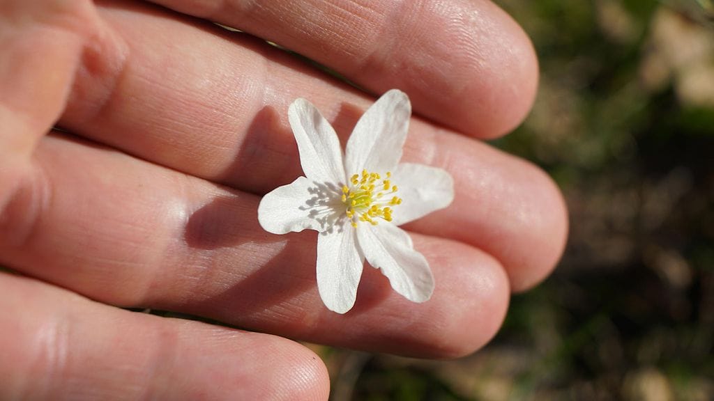 shutterstock_1078692329