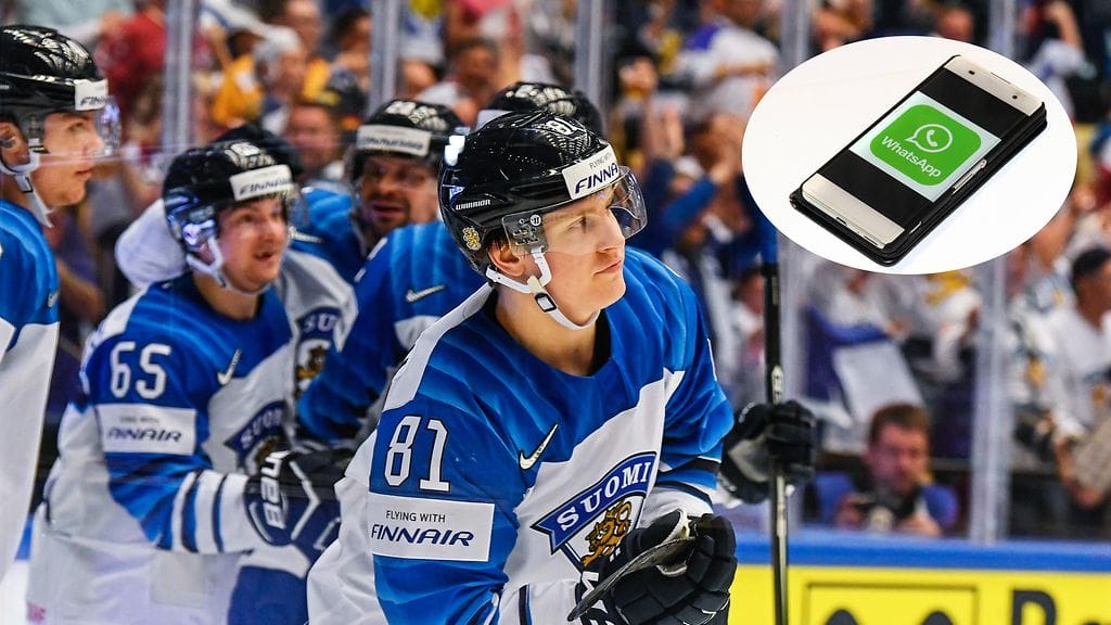 WhatsApp ja Leijonat