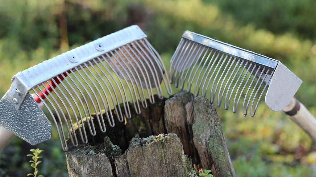 Marjaharavat ovat kehittyneet vuosien varrella. Nykyisin monet haravat ovat noin 20-senttisiä.