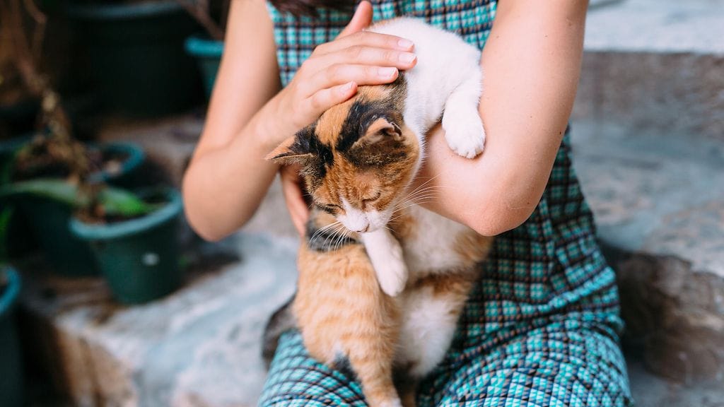 Vanhemmalla iällä ihminen uskaltaa panna itsensä etusijalle ja sanoa myös "ei".