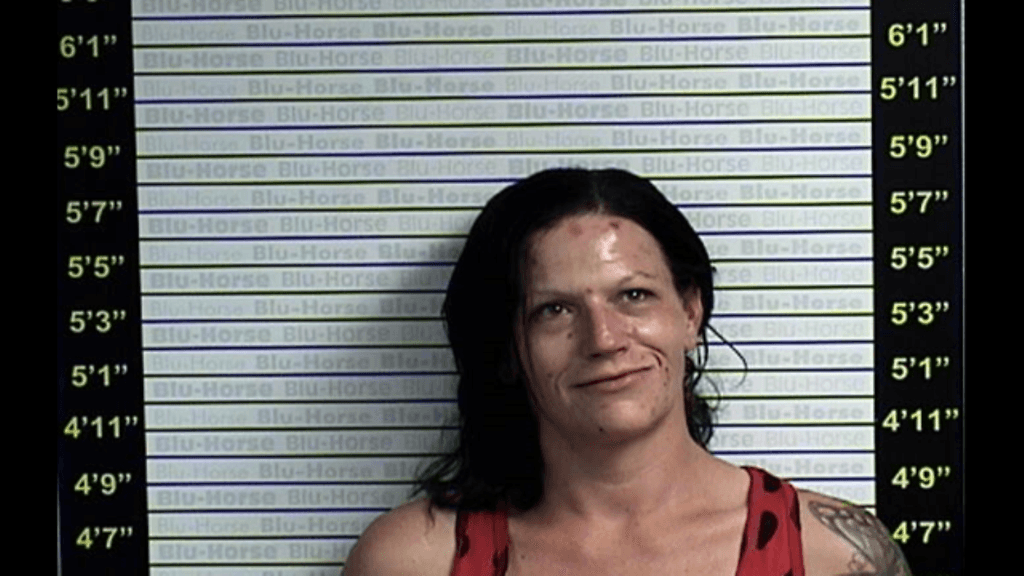 Kelly Cochranin pidätyskuva vuodelta 2016.