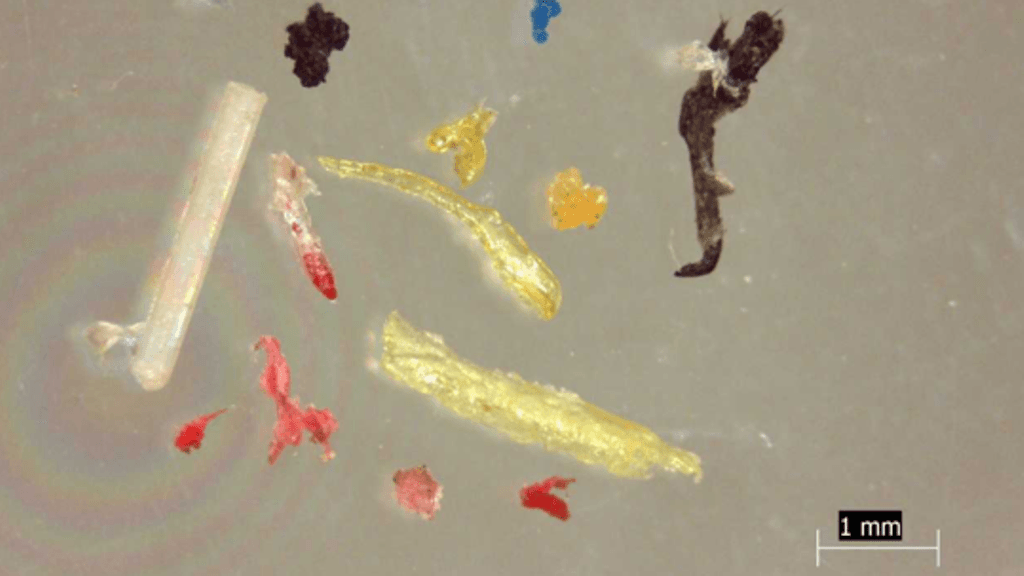 mikromuovi, mikroroska, meri