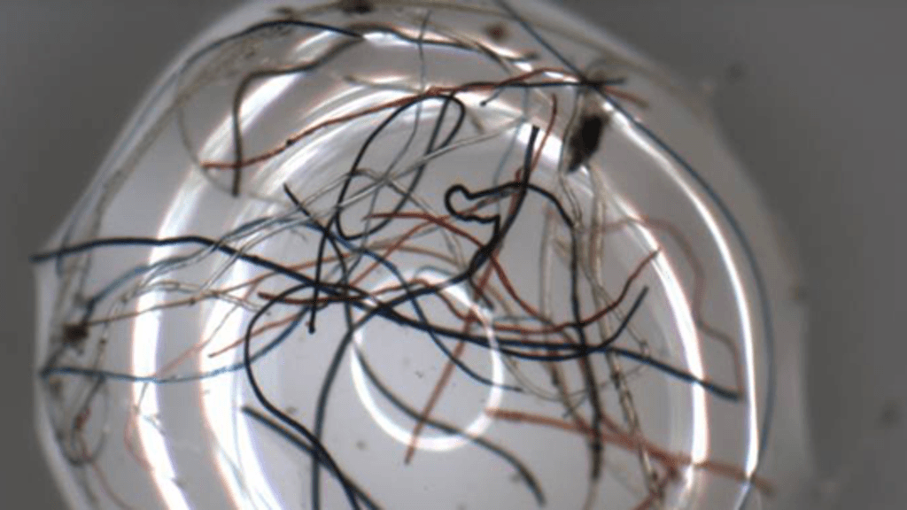 Mikromuovi, mikroroska, tekstiilikuidut