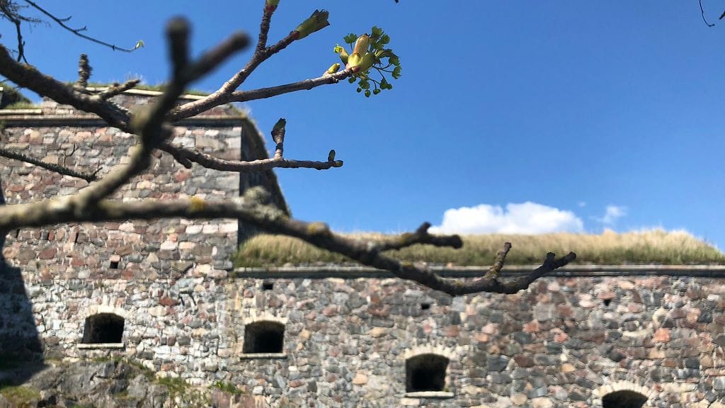 Kuvituskuva Suomenlinnasta.