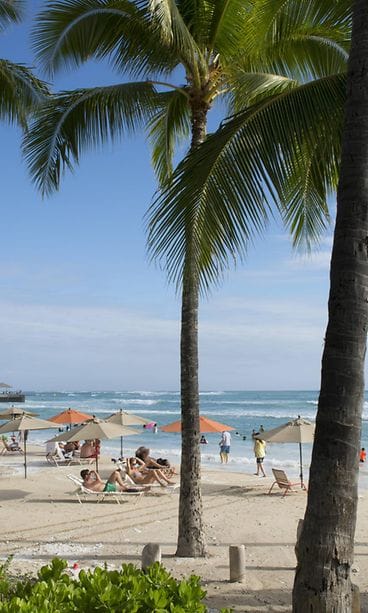 AOP Waikiki Honolulu Oahu ranta