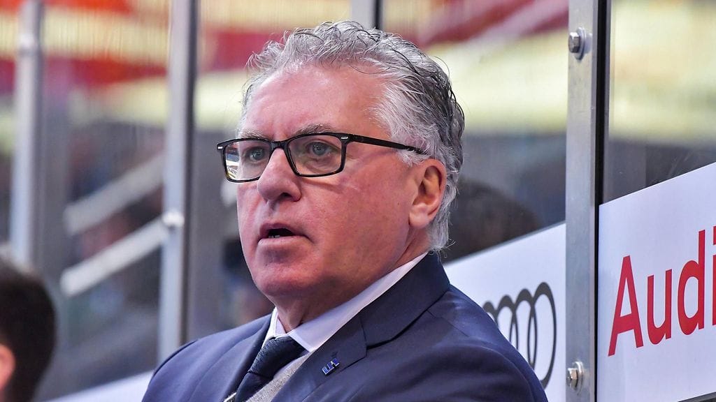 Leijonien entinen päävalmentaja Doug Shedden toivoo palaavansa Suomeen valmentamaan.