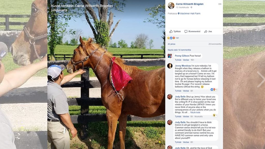 Carrie Brogden kertoi Facebookissa hevosensa karusta kohtalosta: se loukkaantui kohdattuaan karanneen ilmapallon.
Kuvan lähde Facebook