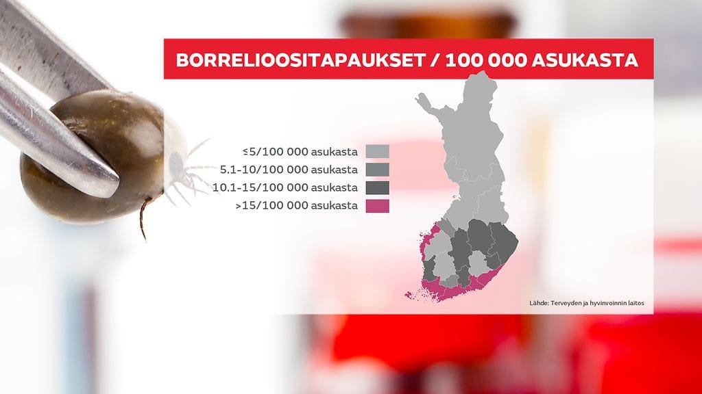 Borrelioositapaukset (002)
