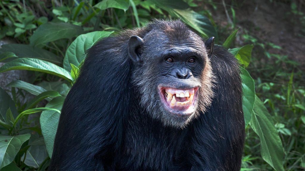 shutterstock_274171640