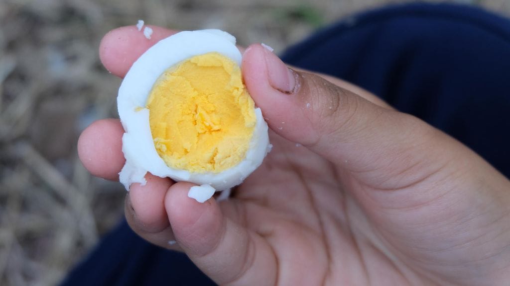 Yksi kananmuna päivässä ei lisää aivoinfarktin riskiä.