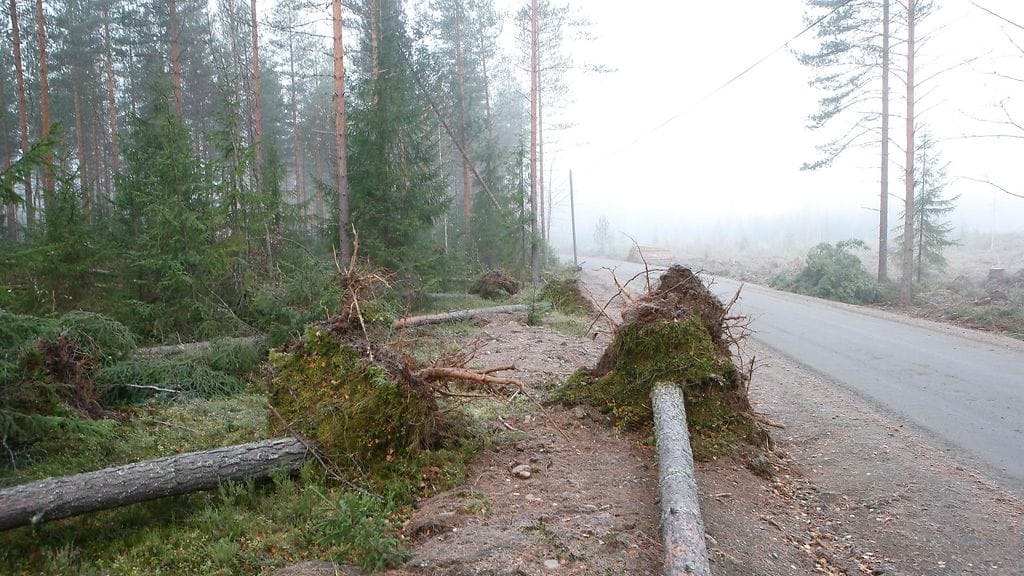 Myrskyn jälkeisiä tuhoja Joensuussa.