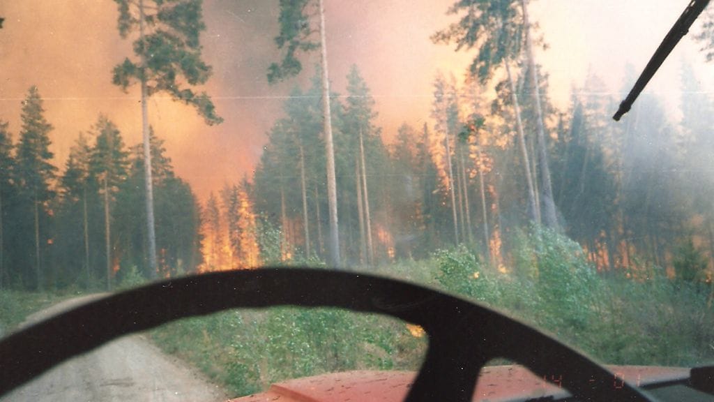 Tammelan metsäpalo_0002_Skannaus_20180525 (4)