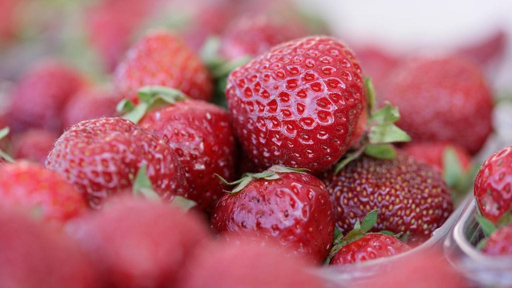 Queenslandissa raportoitiin viime viikolla mansikoista, joiden sisältä löytyi ompeluneuloja.