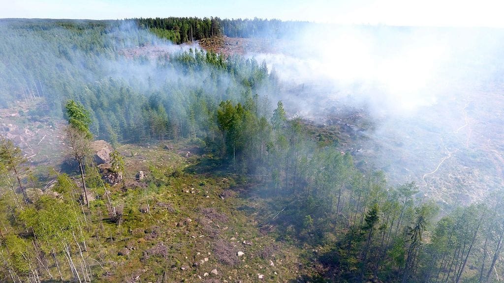 Loviisassa palaa peri hehtaaria maastoa. Kuvituskuva.