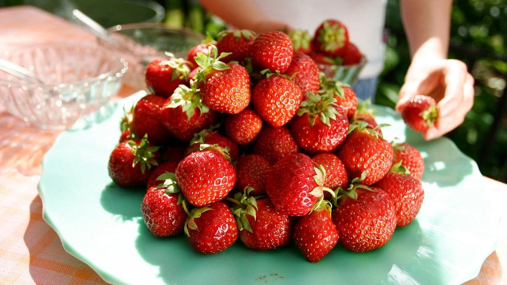 Kotimaiset mansikat ehtivät yllättäen jo ylioppilasjuhliin.