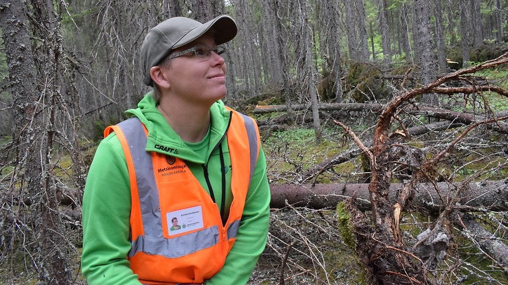 metsätuho, tuuli, myrsky, metsä, Annika Kontkanen
