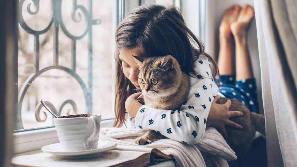 shutterstock_1052251895